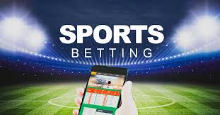 Casinos with Subscription Models 49 Casinos with Subscription Models 49